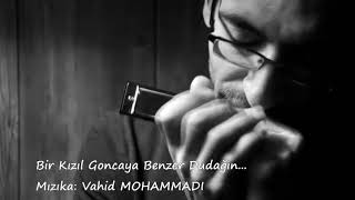 Bir Kızıl Goncaya Benzer Dudağın  Mızıka  Vahid MOHAMMADI [upl. by Nodnelg]