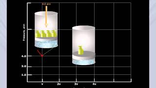 Boyles Law Graph [upl. by Aihsas914]