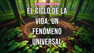 El Ciclo de la Vida un fenómeno universal [upl. by Itida]