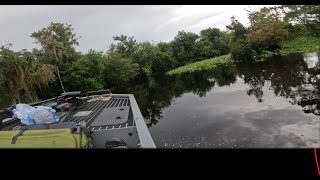 Cruising the Wekiva river [upl. by Rianon]