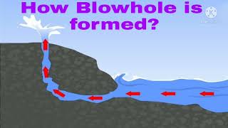 How Blowhole is formed [upl. by Allsun240]