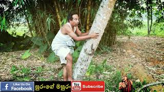 sangeeth satharasinghe  pol kadima  සුරංගේ මසුරං  පොල් කැඩීම [upl. by Akel]