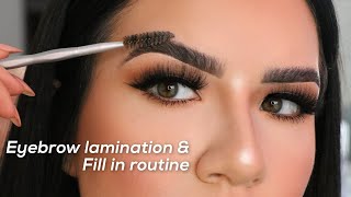 Brow Lamination amp Brow Tutorial How I Fill Them In [upl. by Elodea]