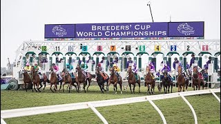 Breeders Cup Saturday Selections Nov 2nd 2024 [upl. by Darcie780]