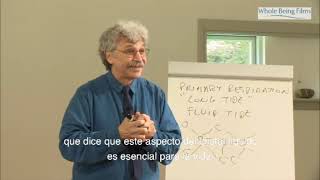 Franklyn Sills  Repaso por los principios de la Biodinámica Craneosacral subtitulado en Español [upl. by Assanav]