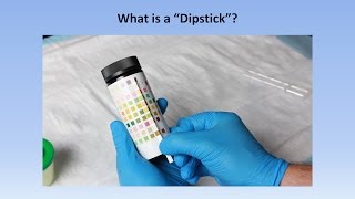 Interpretation of the Urinalysis Part 2  The Dipstick [upl. by Assenal235]