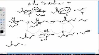 Base Catalyzed Transesterification Reactions [upl. by Cazzie]