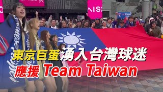 把東京巨蛋變主場！台灣球迷攜巨型國旗加油、啦啦隊女孩自費應援Team Taiwan MnewsTalk [upl. by Kabab]