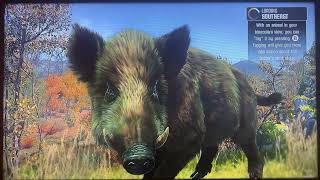 cabelas big game hunter pro hunts 2014 wii u [upl. by Akoyin]