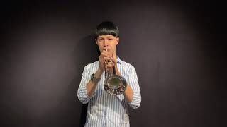 P Mauriat Trumpet PMT51 Playtest  Pictures at an Exhibition Alan Wang [upl. by Ahseiat422]