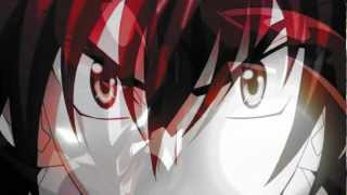 High School DXD AMV  Fly On The Wall 200th Video FULL [upl. by Us]