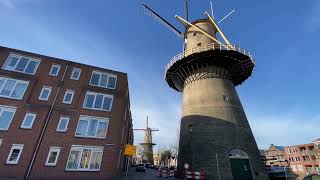 The Schiedam windmills are the tallest classic windmills in the world🇳🇱 [upl. by Peale814]