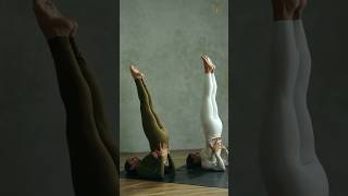 Secuencia final de invertidas con nuestras profes Laura y Gaia 🫶🏻 shortyoga [upl. by Kneeland]