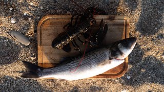 Full Day Kayak Fishing foraging and Spearing For Bass and Lobster in Cornwall  Summer Solstice [upl. by Eessac]