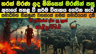 හරක් මරණ ලද මිනිසෙක් මරණින් පසු අපායේ පහළ වෙන හැටි සමාධිමත් භික්ෂුවක් දකී [upl. by Enahs]