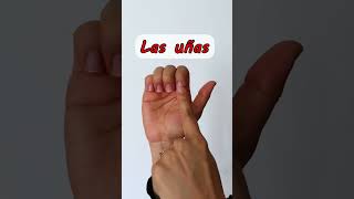 LAS PARTES DE LA MANO 🖐️ [upl. by Yllier]