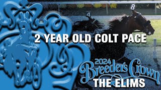 2024 Breeders Crown Elims  2CP [upl. by Jacquette]