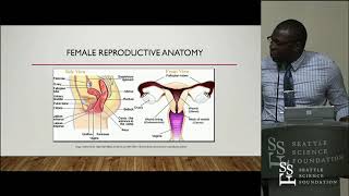 The Clinical Anatomy of Dyspareunia  Yusuf O Alimi MD [upl. by Gwyn]