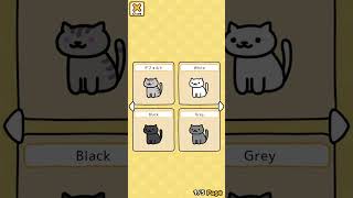 Neko Atsume 2  Looking into more of the Myneko options [upl. by Ieluuk]