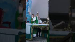 En la Eucaristía está mi tesoro ahi está mi corazón jesus santisimosacramentodelaltar fe [upl. by Arriec]