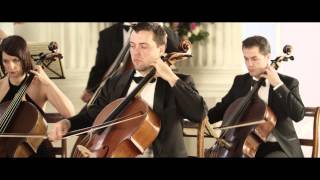 Vivaldi The Four Seasons Summer LEstate 3rd movement [upl. by Convery]