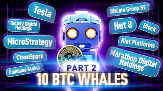 Top 10 Bitcoin Whales The Biggest Bitcoin Holders Revealed Part 2 [upl. by Bergquist]