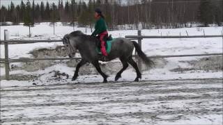 heida från Galgbacken [upl. by Esadnac]