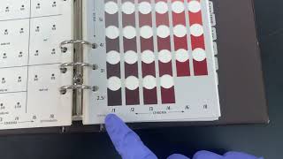 Munsell Soil Color Chart Tutorial [upl. by Atiuqrehs796]