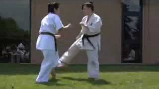 Kyokushin Demo [upl. by Pattin]