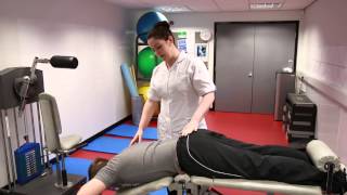 Lower Back Pain Rehab Suite  Part 1  Chiropractic [upl. by Castle]