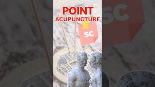 POINT D’ACUPUNCTURE  5C Tong Li acupuncture acupuncturepoints medecinechinoise [upl. by Asyle145]