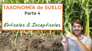 Taxonomía de suelo Parte 4  Entisoles y Inceptisoles [upl. by Enrica]