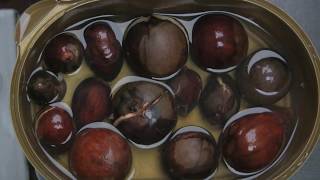 Soaking Avocado Stones Seeds  before planting [upl. by Jezebel]