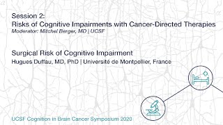 Surgical Risk of Cognitive Impairment  Hugues Duffau MD PhD [upl. by Ardnuassak]