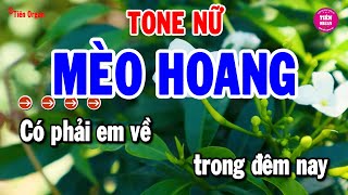 Mèo Hoang Karaoke Tone Nữ  Nhạc Sống Bolero Chất Lượng Cao  Tiên Organ [upl. by Houghton]