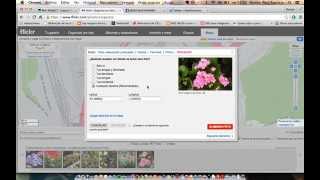 Flickr tutorial subir y organizar fotografías [upl. by Ataga]