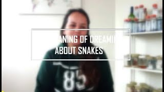 Dreaming about snakes the spiritual meaning [upl. by Ilsa]