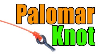 How To Tie Palomar Knot  Line To LureFly  Best Fishing Knots [upl. by Brittain]