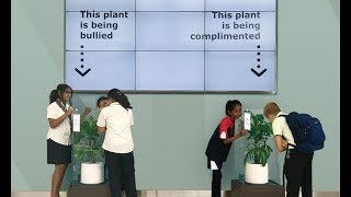 Bully A Plant Say No To Bullying [upl. by Inig362]