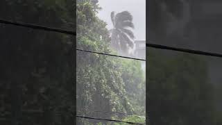 🌧️ Grosse averse 🌧️ et vent💨 violent cet aprèsmidi dans le centre de Mayotte 🇾🇹 [upl. by Jedidiah191]