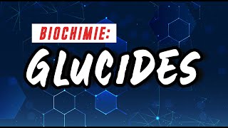 BIOCHIMIE  Glucides  Définitions Classifications Filiations et structures Salma Chgora [upl. by Thorne]