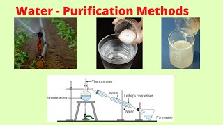 Water  Purification Methods  CBSE 5 Science [upl. by Bathsheeb]