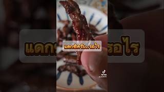 สายเนื้อไม่ควรพลาด เนื้อแดดเดียว อร่อยบอกต่อ beef tiktokindia tiktok reels youtube CapCut [upl. by Forkey]