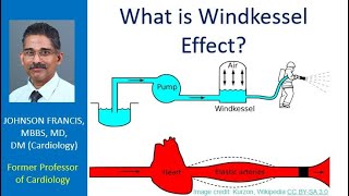 What is Windkessel effect [upl. by Boorer]