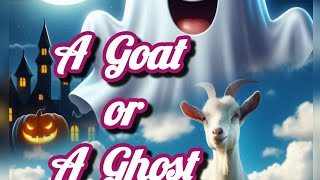 A Goat or a ghost Panchatantra story cartoon kids storytime virtuevibesthelitlantern [upl. by Anaimad155]