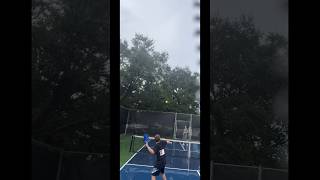 Playing with my new pickleball paddle [upl. by Animor]