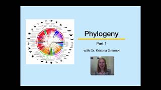 Phylogeny Part 1 [upl. by Bertero]