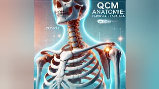 QCM  ANATOMIE  la clavicule et la scapula [upl. by Wyne876]