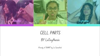 LE SSYNTHESIS  CELL PARTS ColorCoded Lyric Video [upl. by Latsyrhk230]