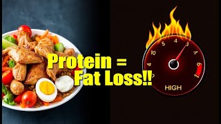 How Protein Helps You Lose Weight  The Secret to Staying Full and Burning Fat  Nutrihub [upl. by Criswell]